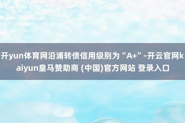開yun體育網(wǎng)沿浦轉(zhuǎn)債信用級(jí)別為“A+”-開云官網(wǎng)kaiyun皇馬贊助商 (中國(guó))官方網(wǎng)站 登錄入口