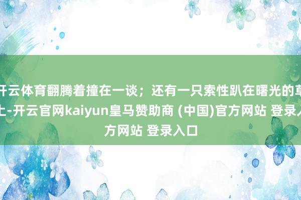 開(kāi)云體育翻騰著撞在一談；還有一只索性趴在曙光的草地上-開(kāi)云官網(wǎng)kaiyun皇馬贊助商 (中國(guó))官方網(wǎng)站 登錄入口